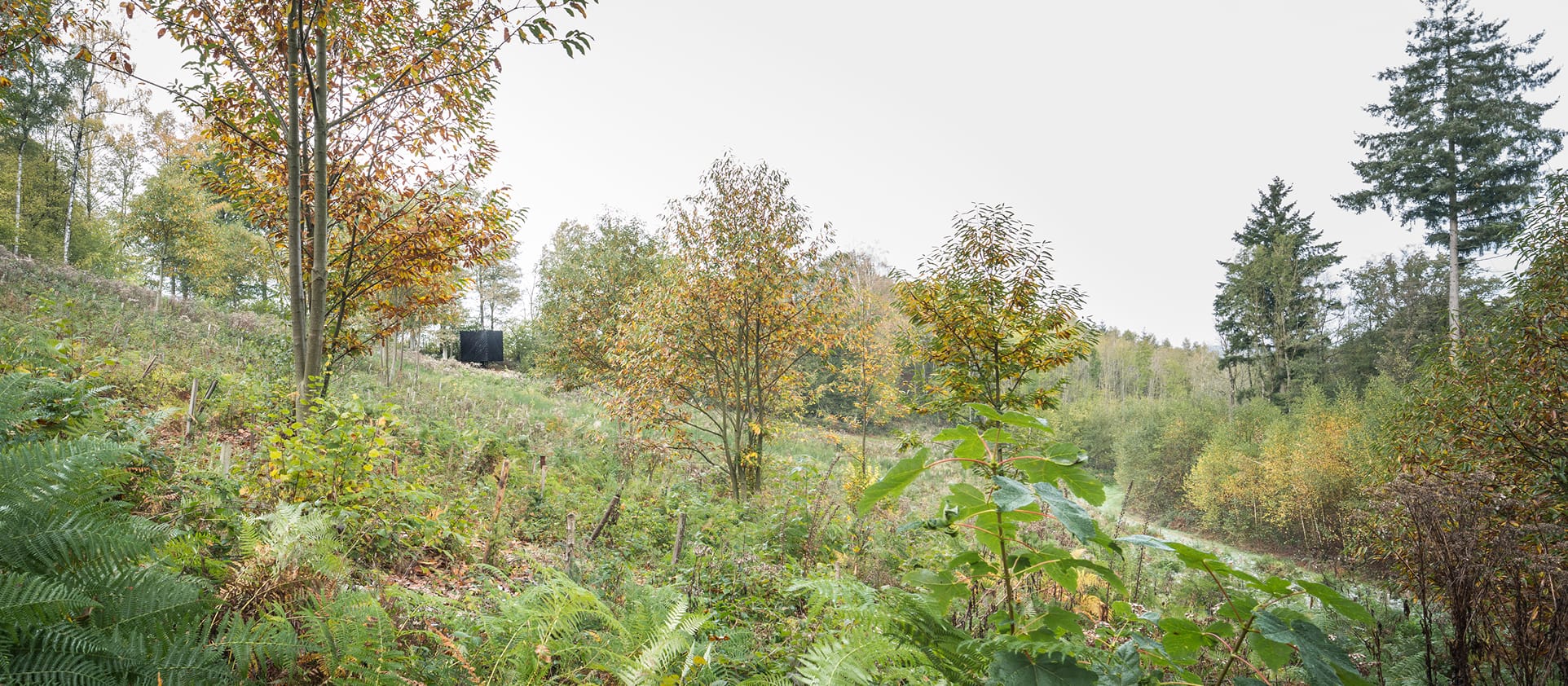 001_LEV-header