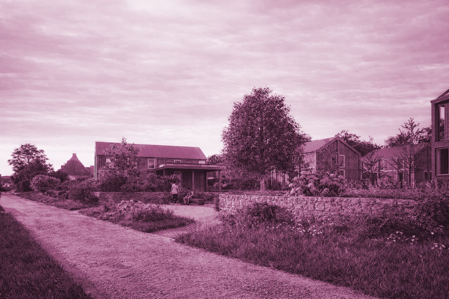RENDER_A_PINK