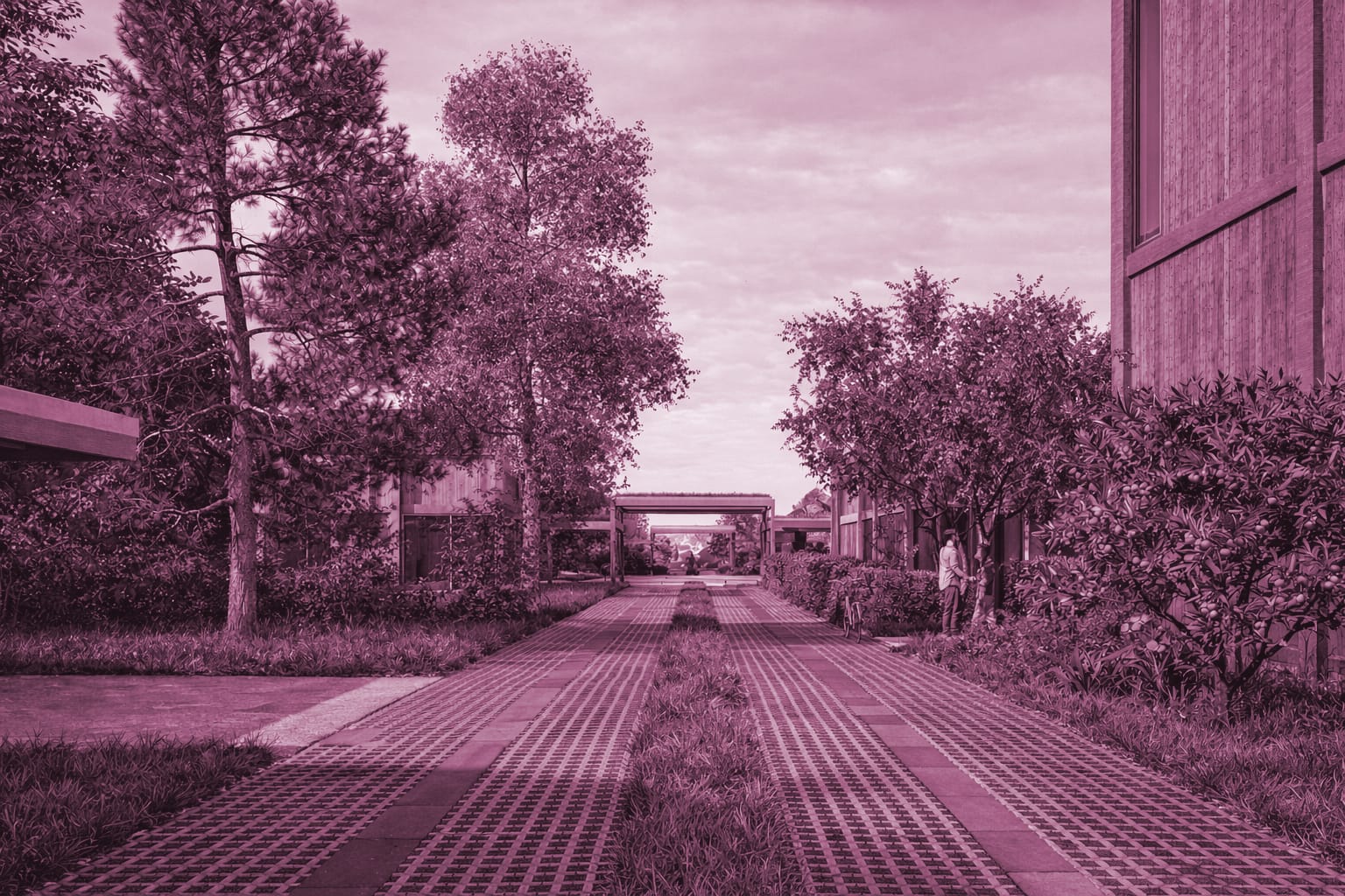 RENDER_B_PINK