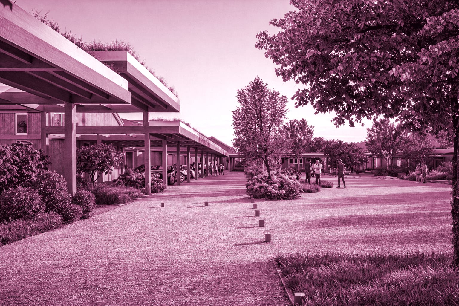 RENDER_C_PINK