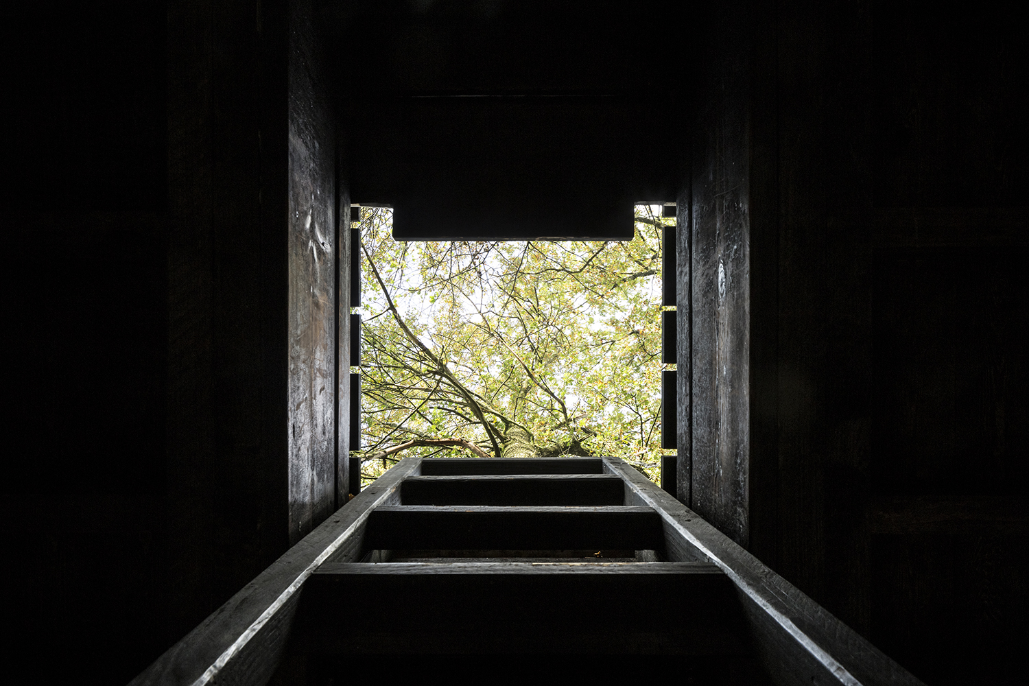 SPECIMEN – Levitas- photo © Maxime Vermeulen-13 copy
